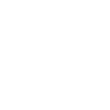 solution_icon_2